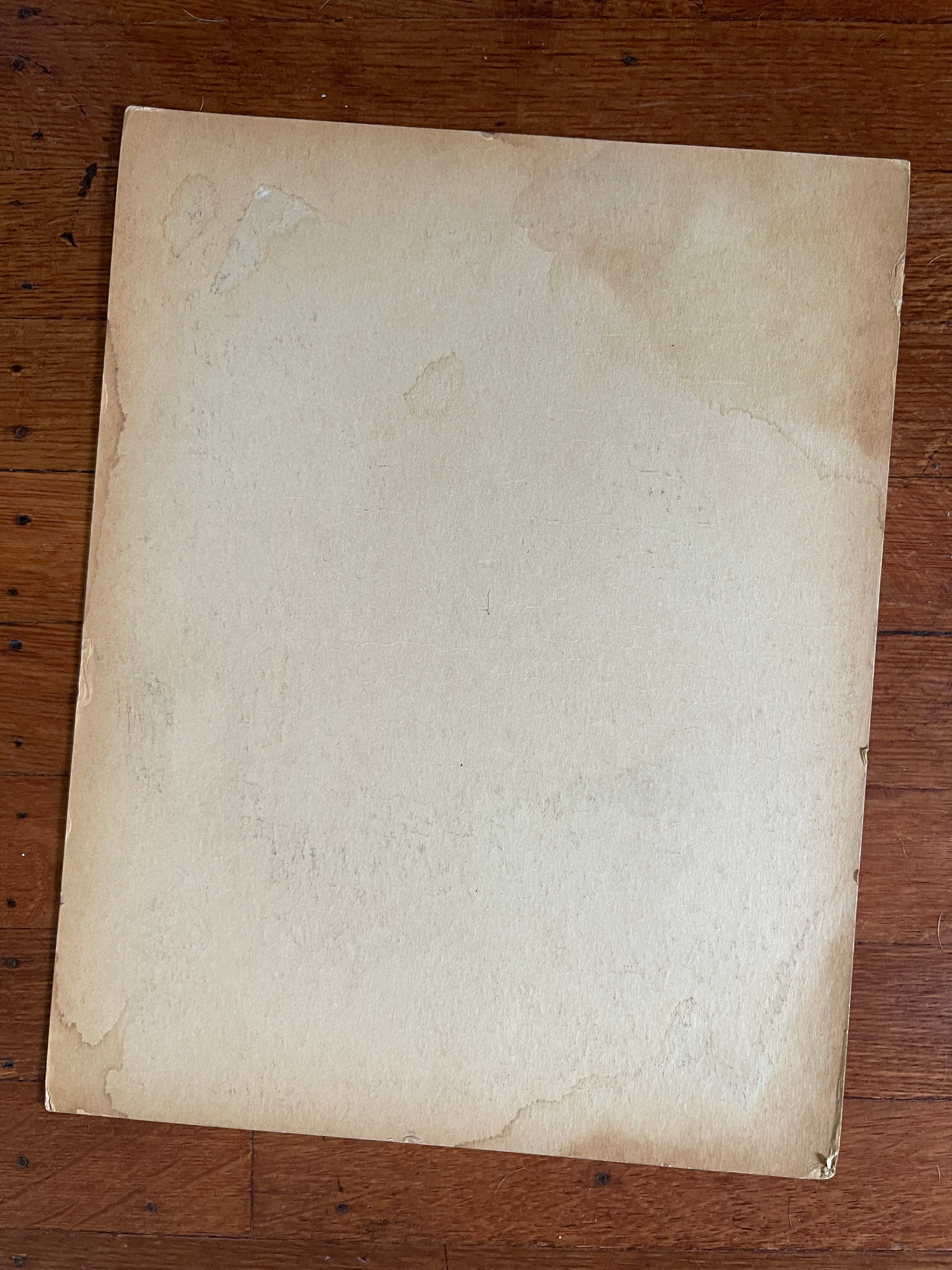 Vintage Rare Ebony Magazine Merchandising Display Cover Poster (September 1967)