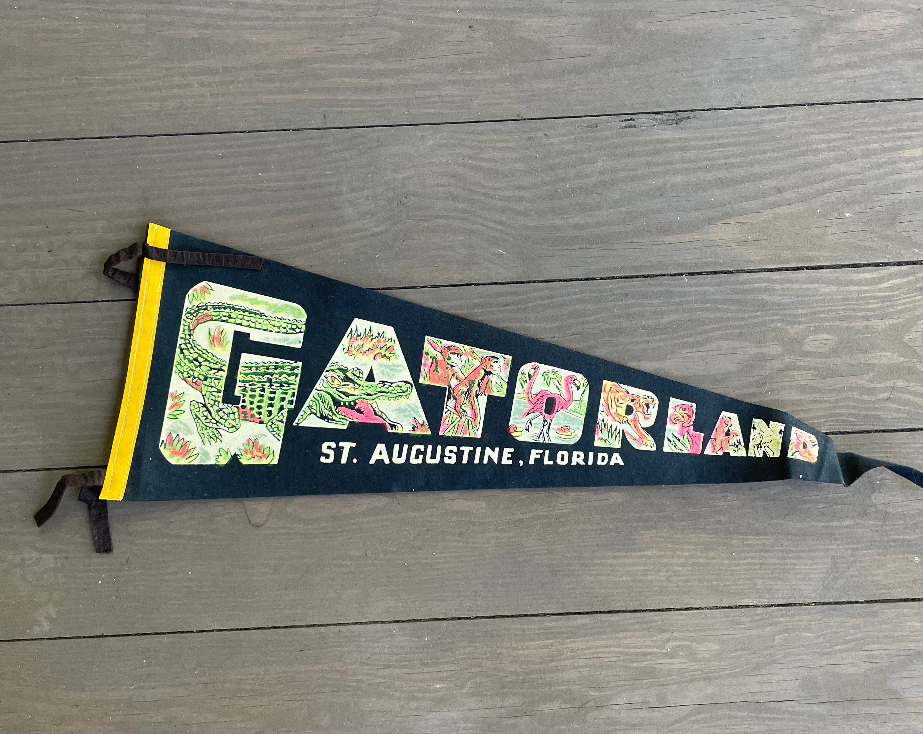 Vintage Travel/Souvenir Pennants (Please Select)