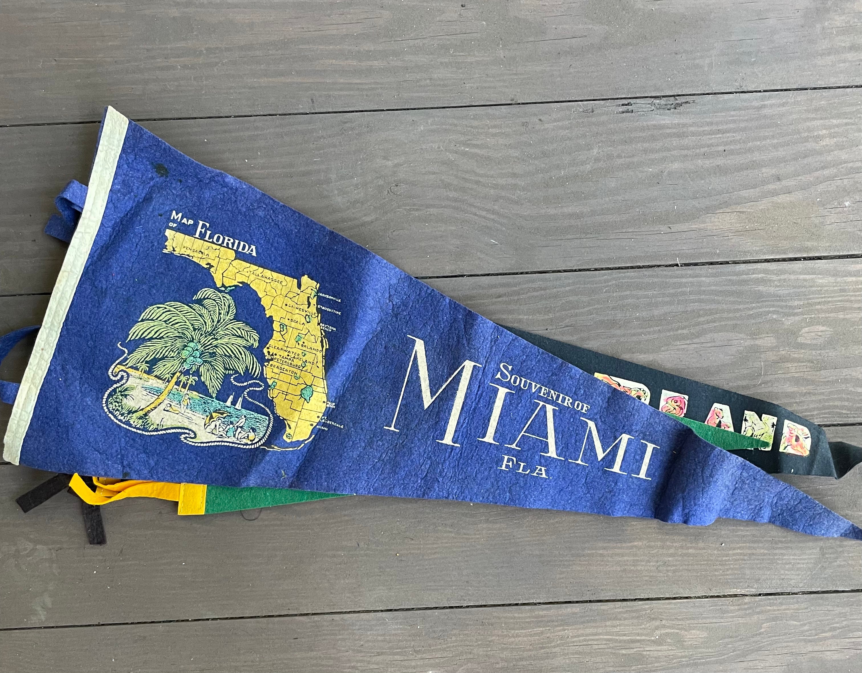 Vintage Travel/Souvenir Pennants (Please Select)