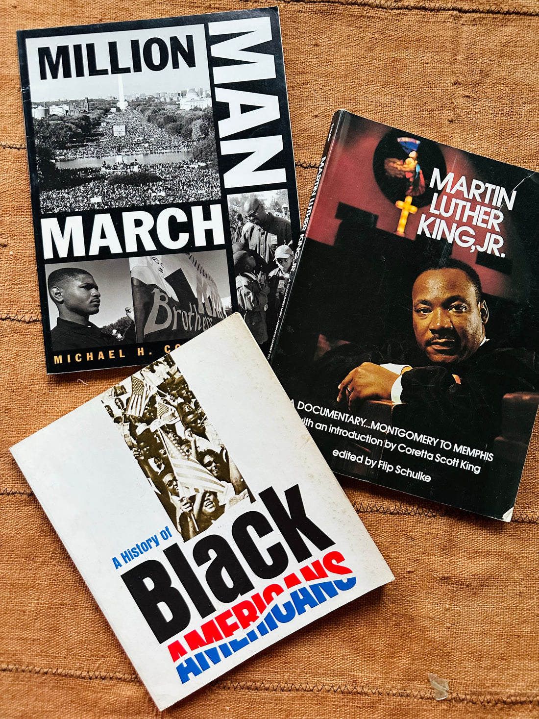 Vintage Civil Rights Softcover Books
