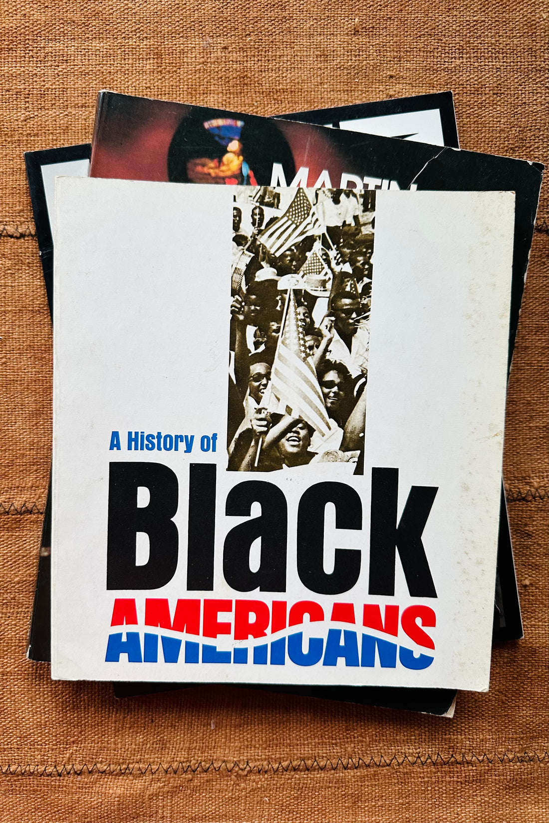 Vintage Civil Rights Softcover Books