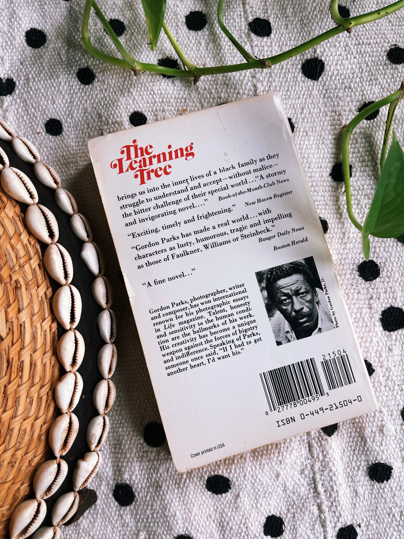 Vintage Softcover “The Learning Tree” by Gordon Parks (1989)