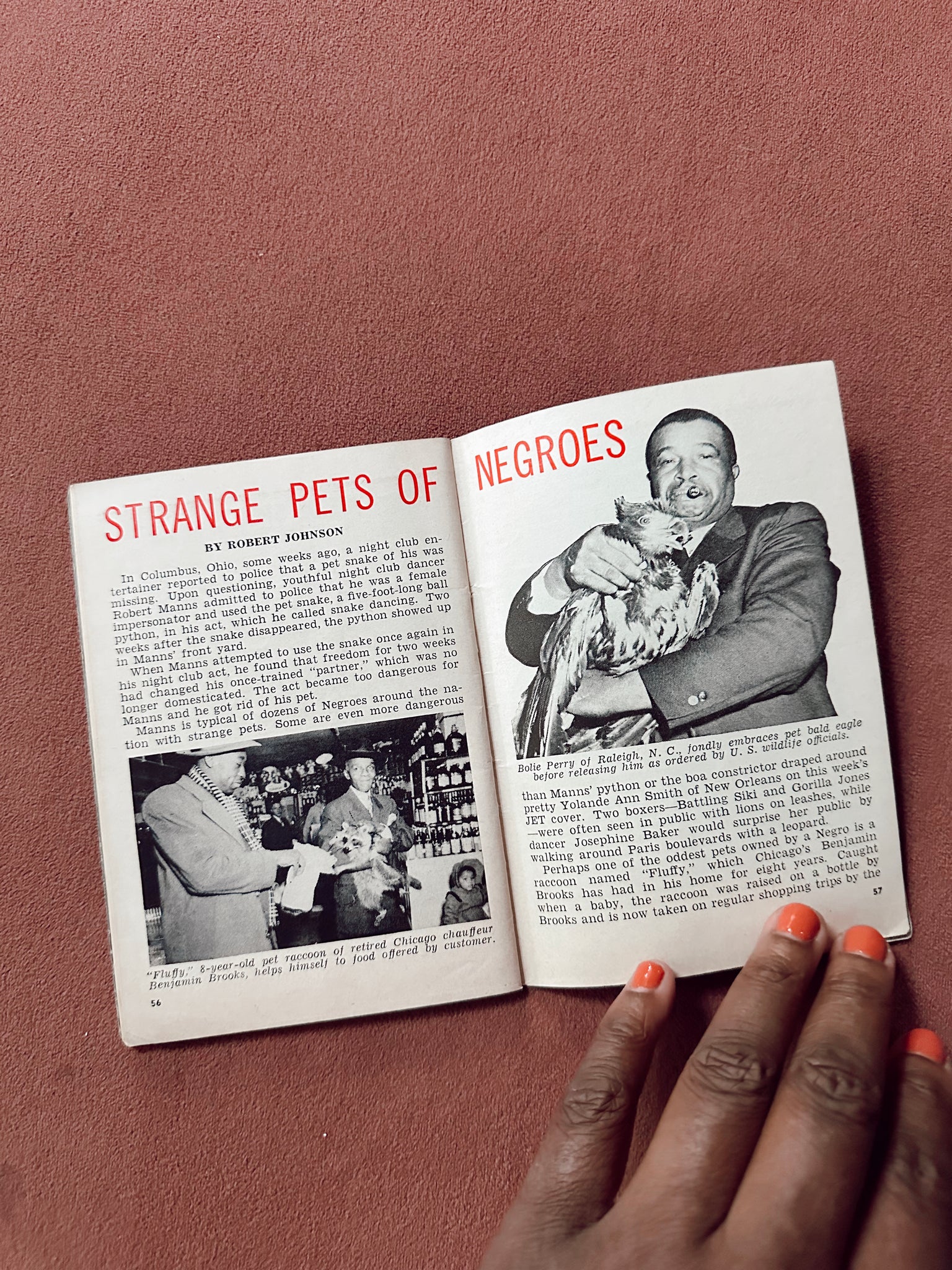 Vintage Jet Magazine // "Strange Pets of Negroes" (July 1953)