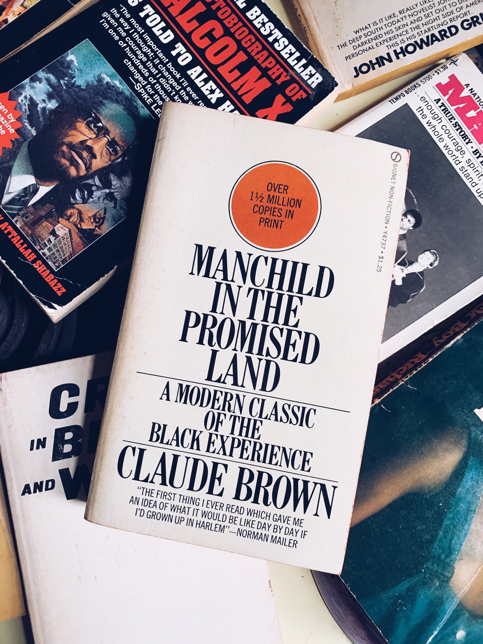 Vintage Softcover “Manchild in the Promised Land" by Claude Brown (1965)