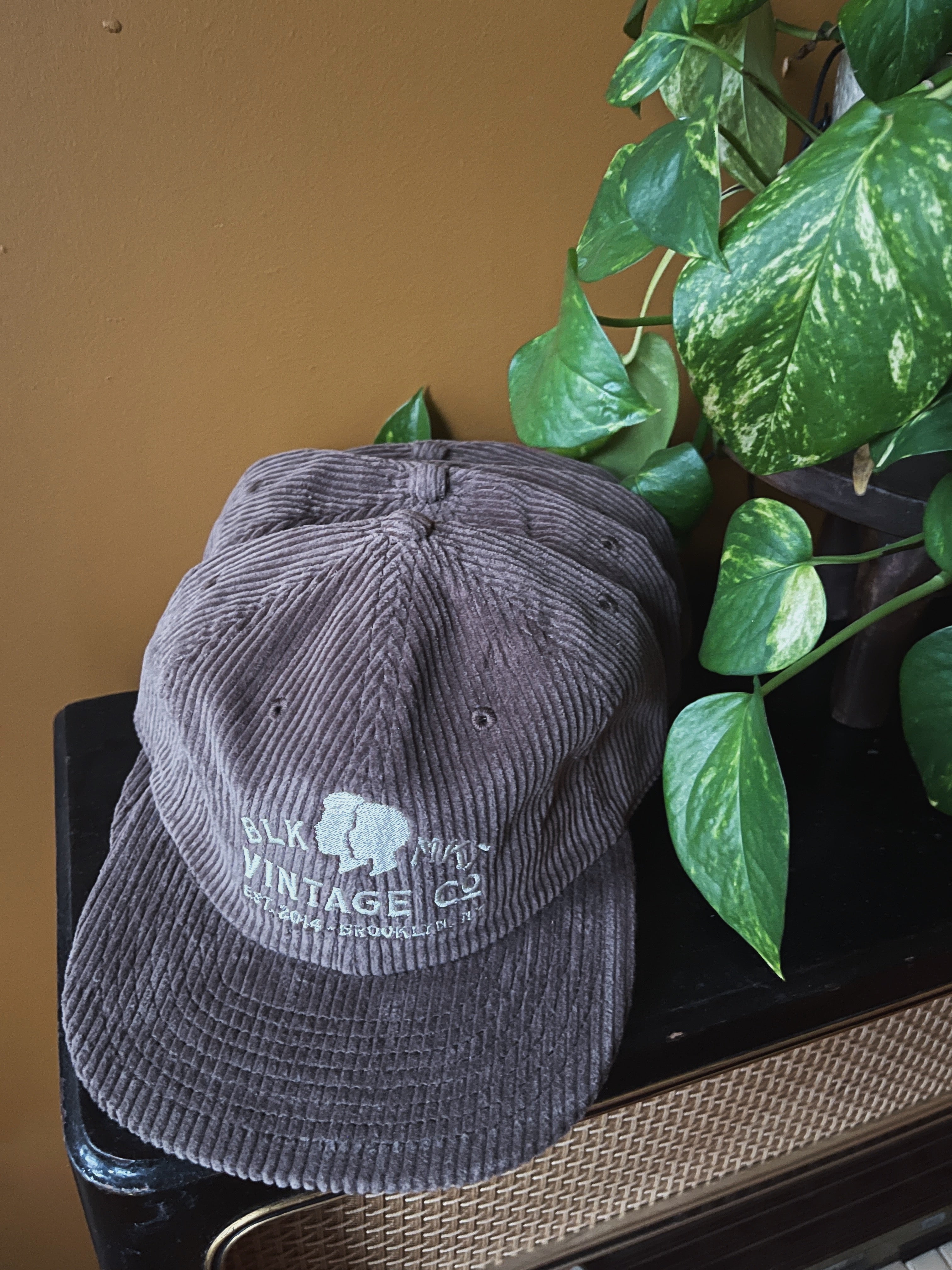 Limited Edition BLK MKT Vintage Dad Hat (Taupe)