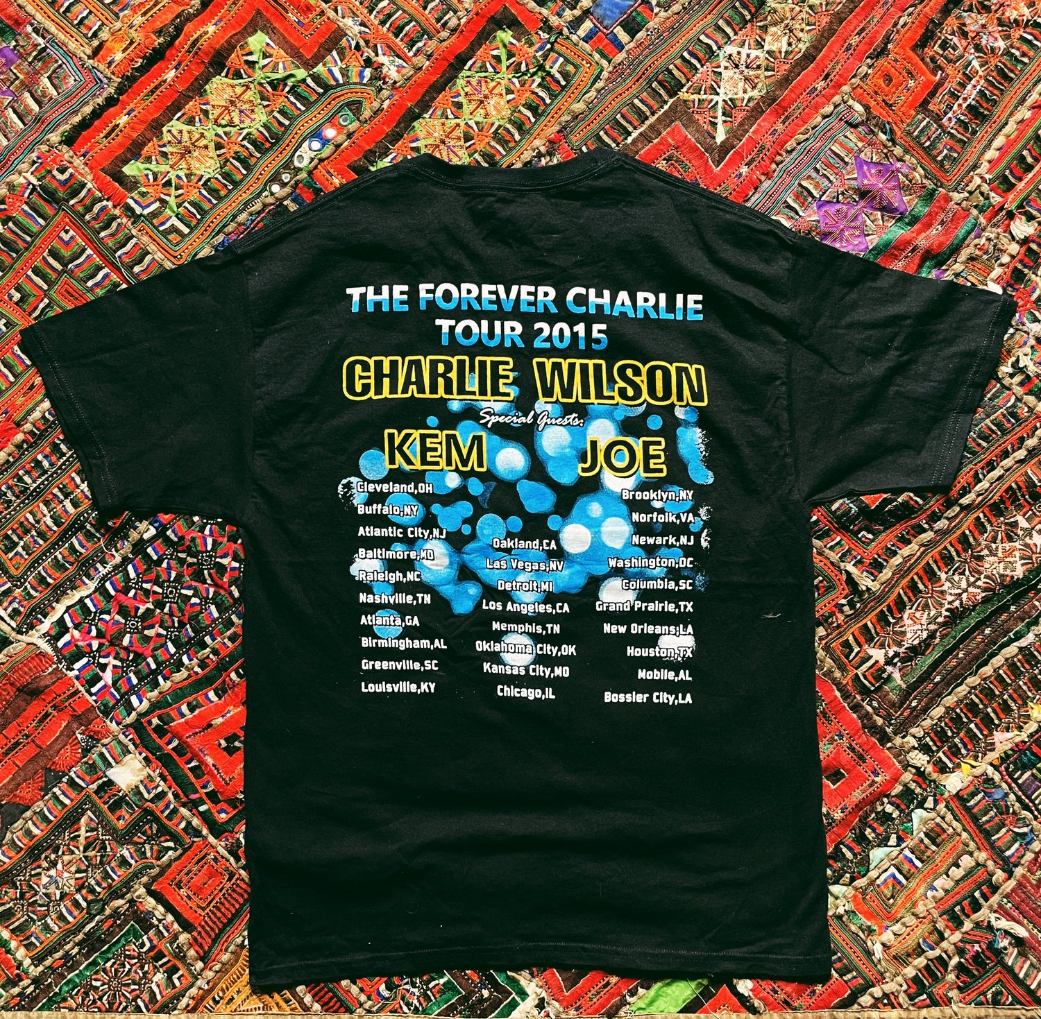 Vintage “The Forever Charlie Tour” Concert T-Shirt (2015)