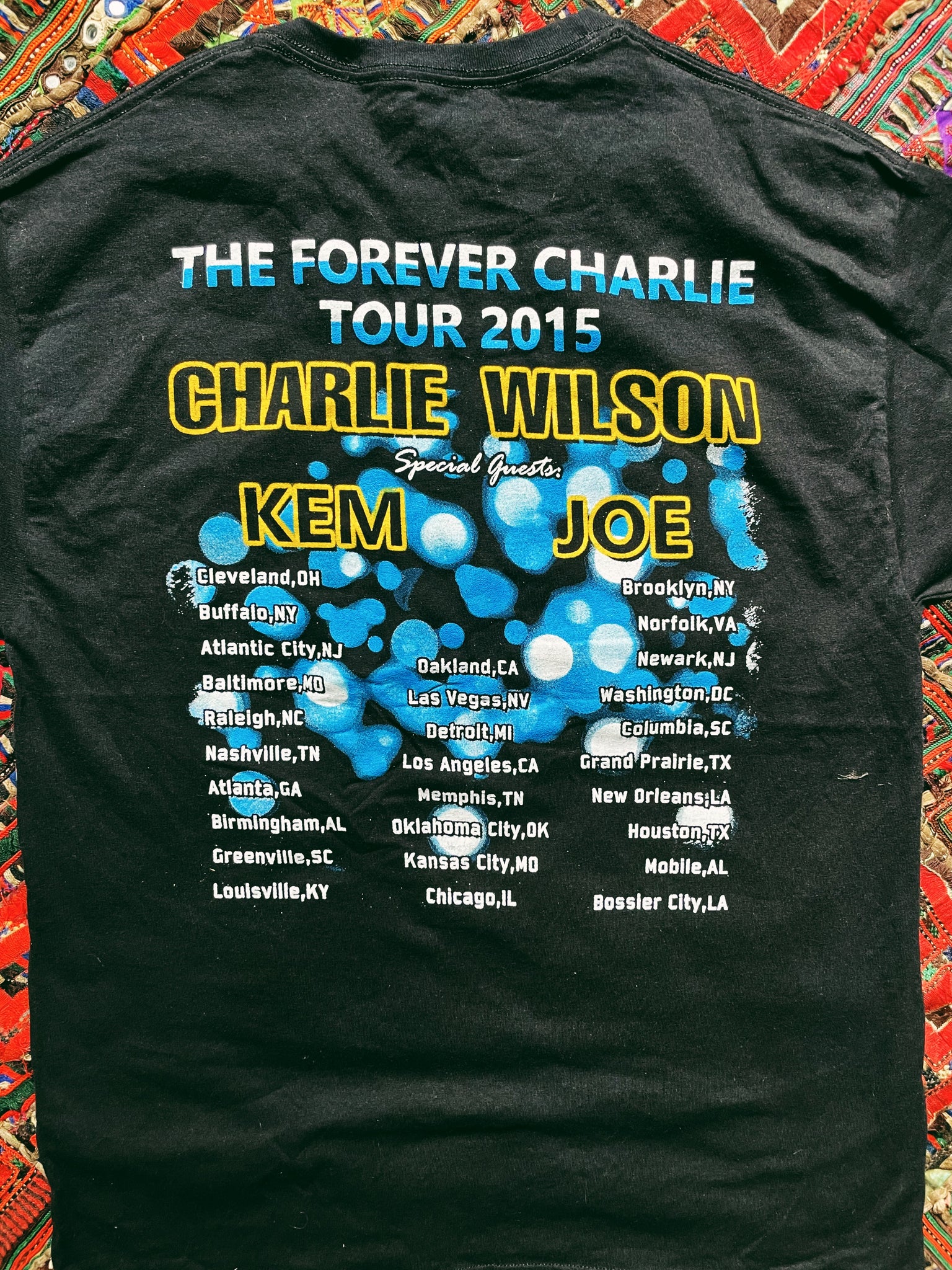 Vintage “The Forever Charlie Tour” Concert T-Shirt (2015)