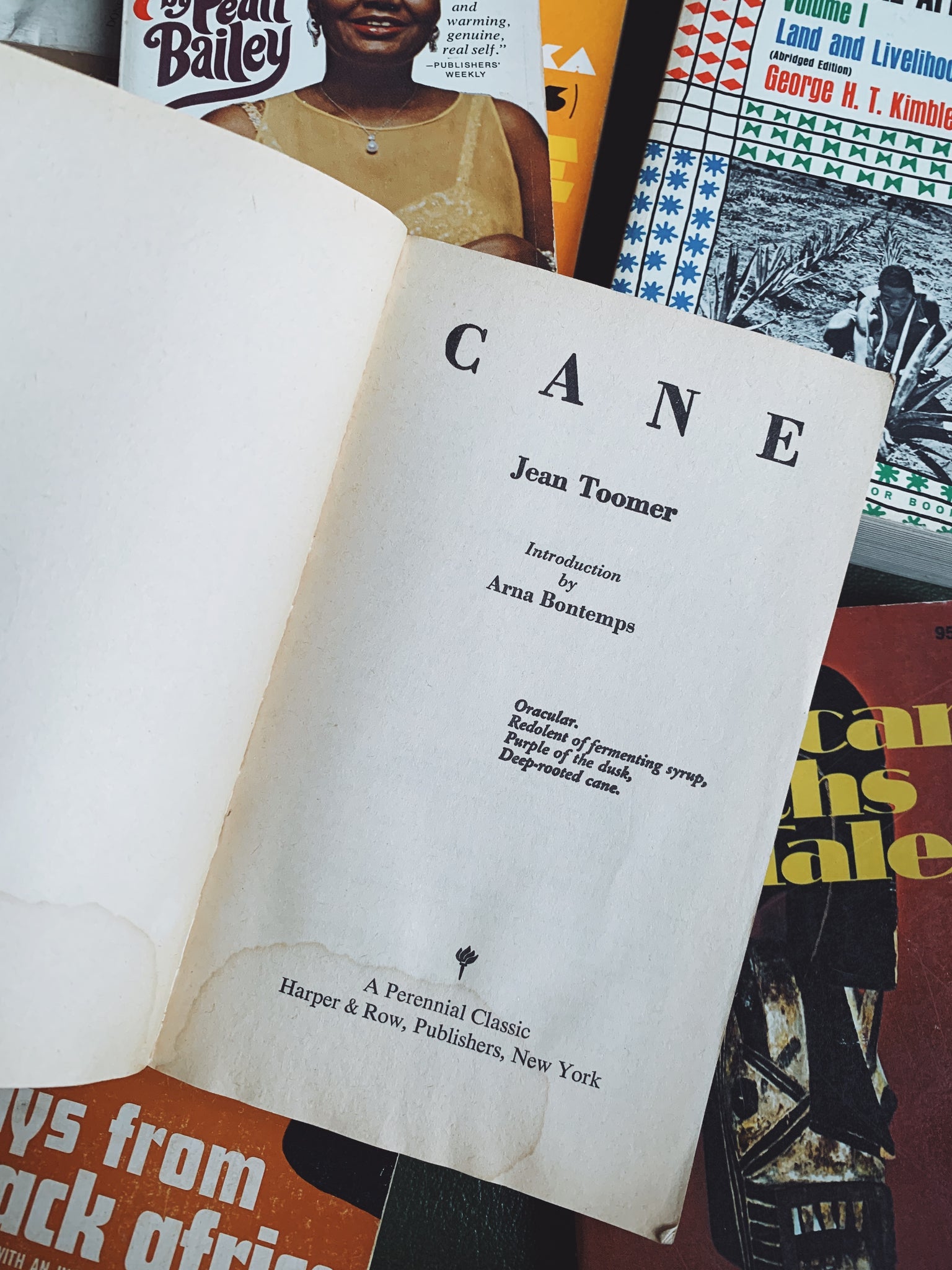 Vintage Softcover "Cane" by Jean Toomer (1969)