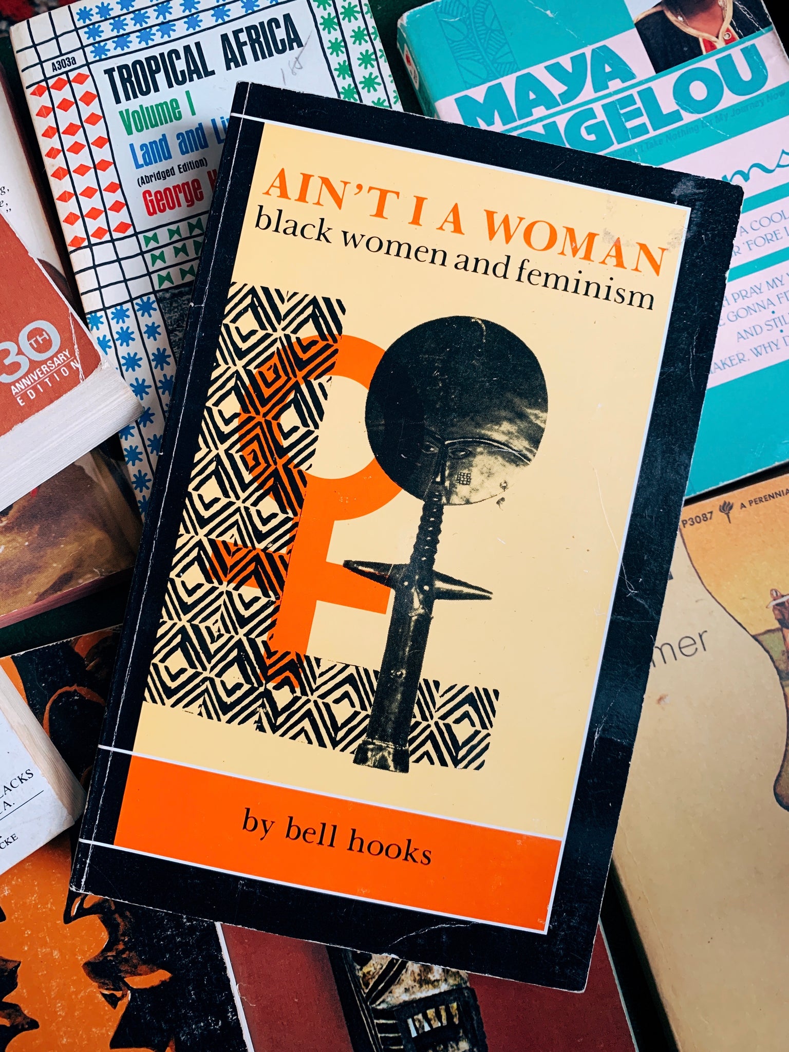 Vintage Softcover "Ain't I A Woman: Black Women & Feminism" by bell hooks (1981)
