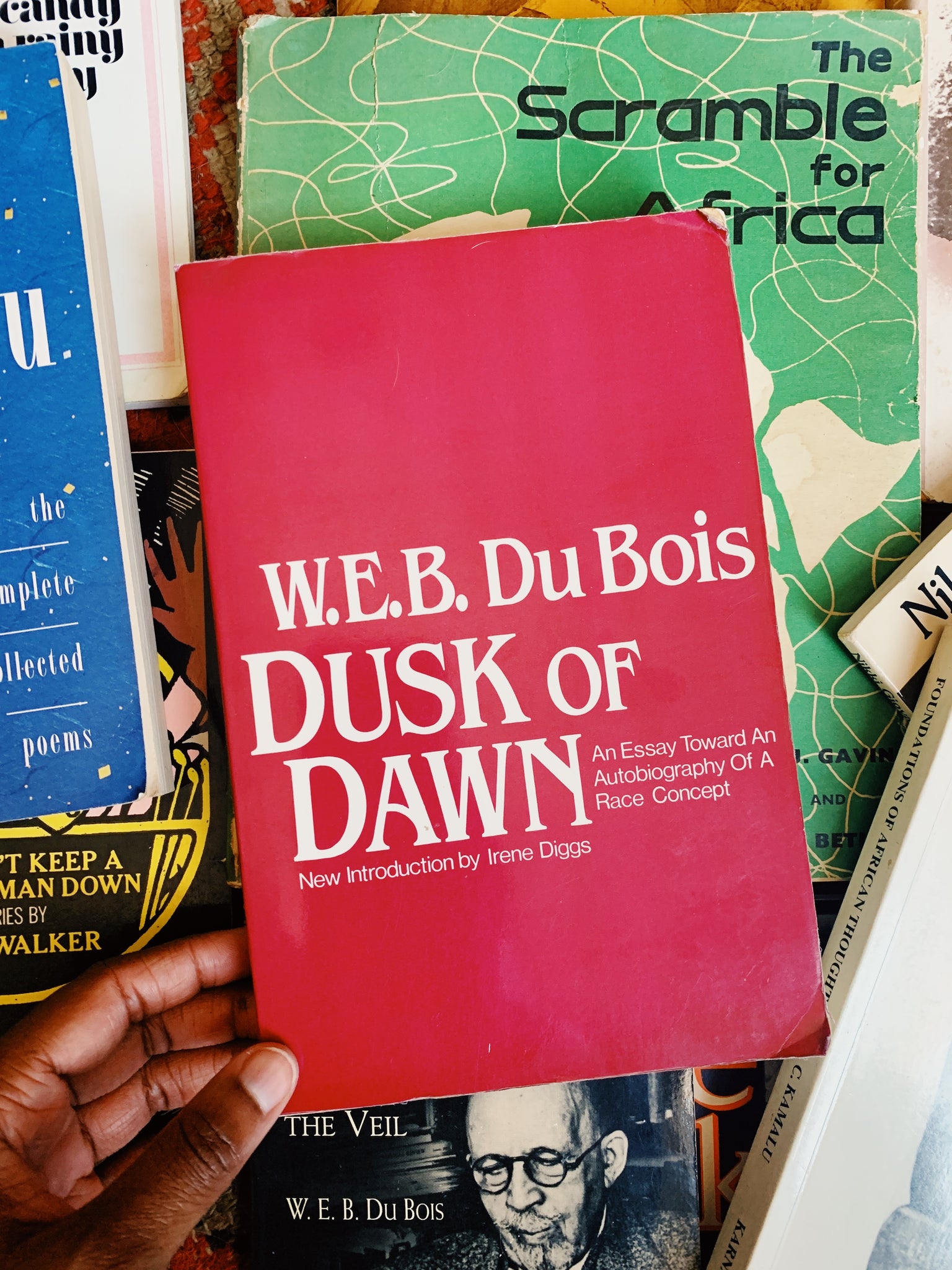 Vintage Softcover "Dusk of Dawn: An Essay Toward an Autobiography of a Race Concept” by W.E.B. DuBois (1984)