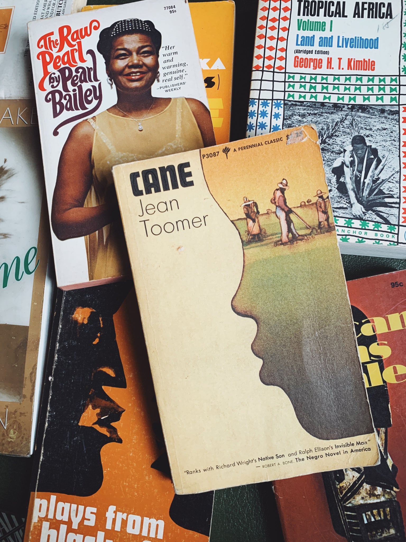 Vintage Softcover "Cane" by Jean Toomer (1969)