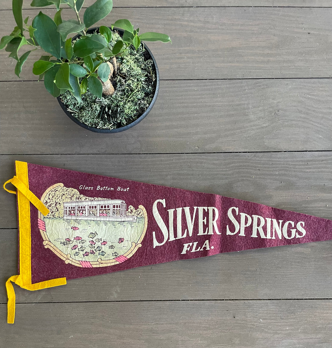 Vintage Travel/Souvenir Pennants (Please Select)