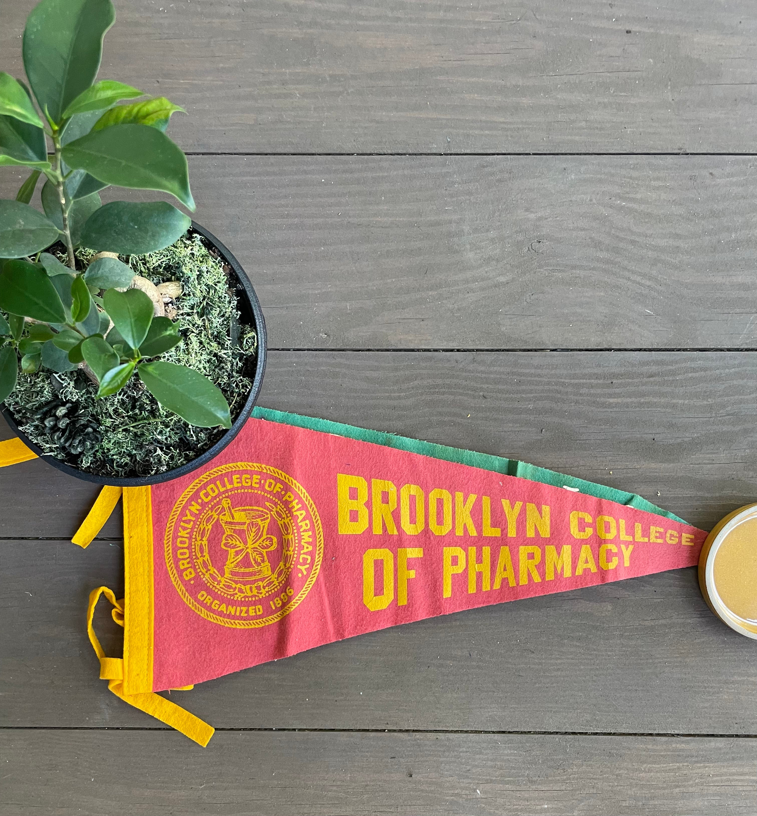 Vintage Travel/Souvenir Pennants (Please Select)