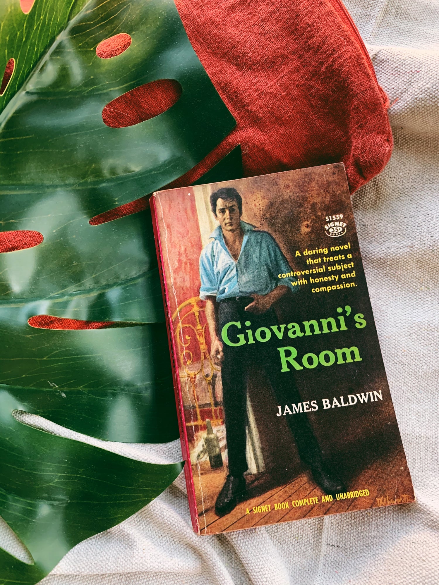 Vintage “Giovanni’s Room” by James Baldwin (First Printing, 1959	)